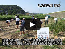 【動画】とんぼの楽園「桶ヶ谷沼」の豊かな自然に育む環境にやさしい里の暮らし