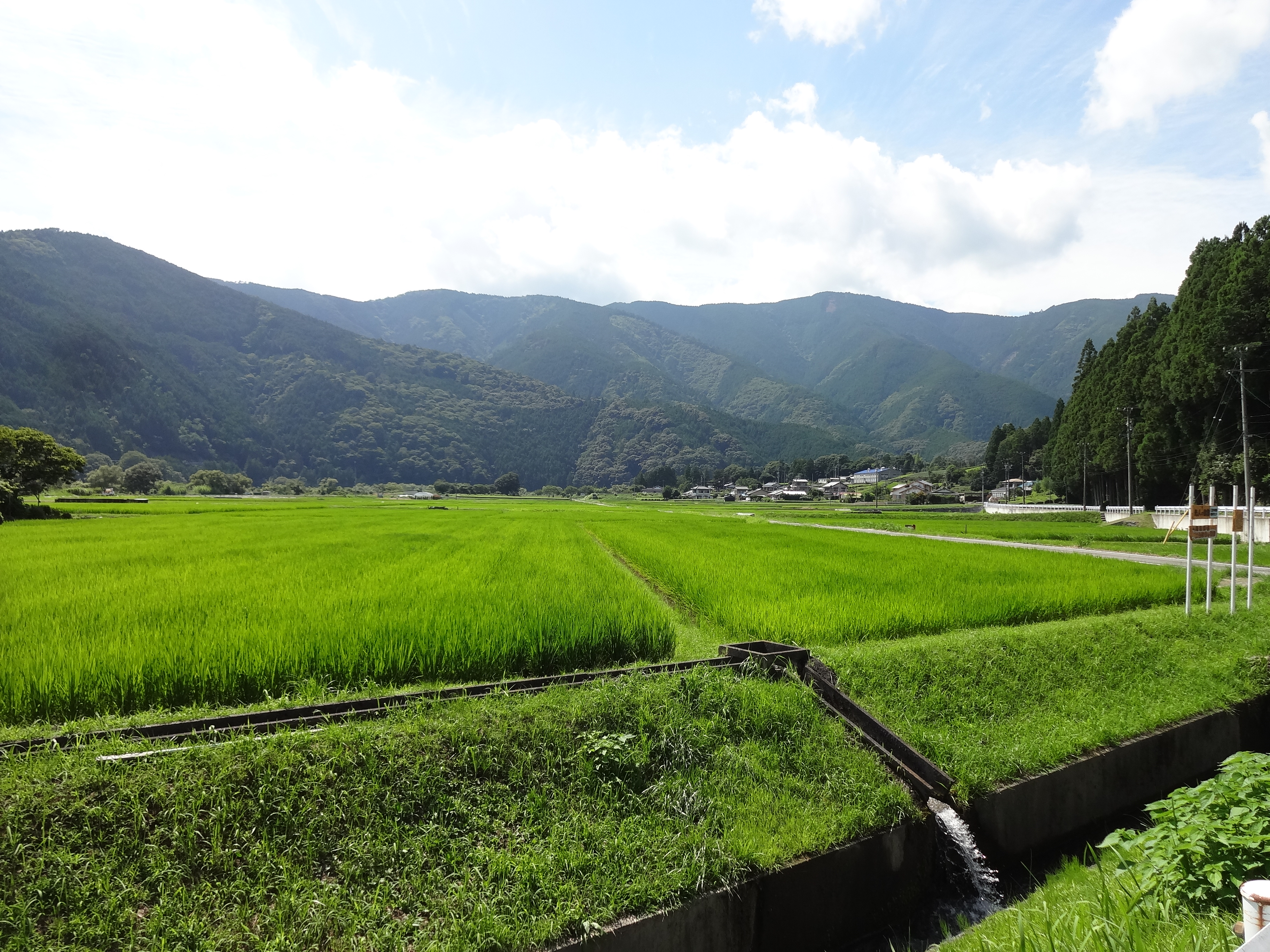 地名（川根本町）