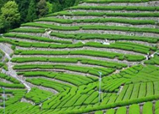 奥長島（静岡市葵区）