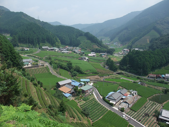 水見色（静岡市葵区）