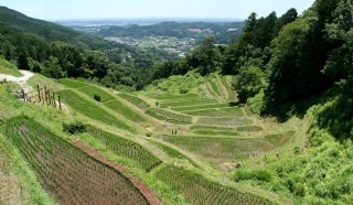 ～竜ヶ石山～西四村の里（浜松市北区）