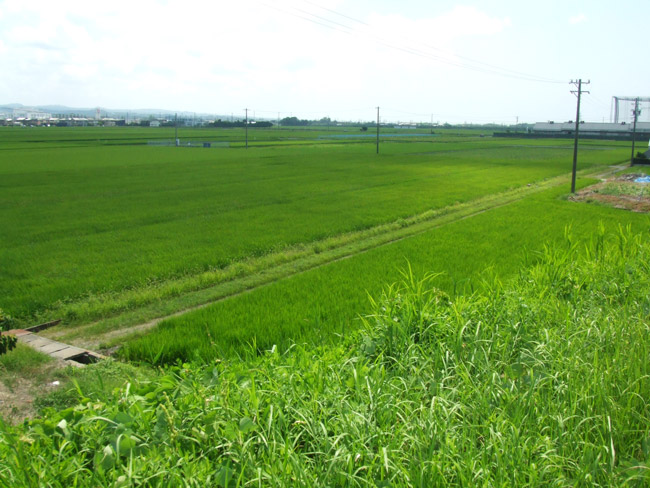 田原地区（磐田市）