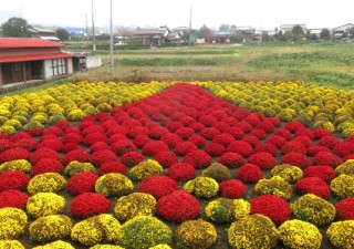 住民が花で描いた“富士山アート”