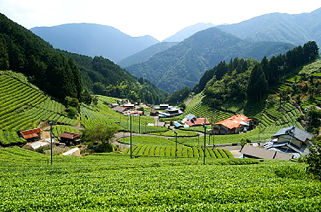 大代（静岡市葵区）