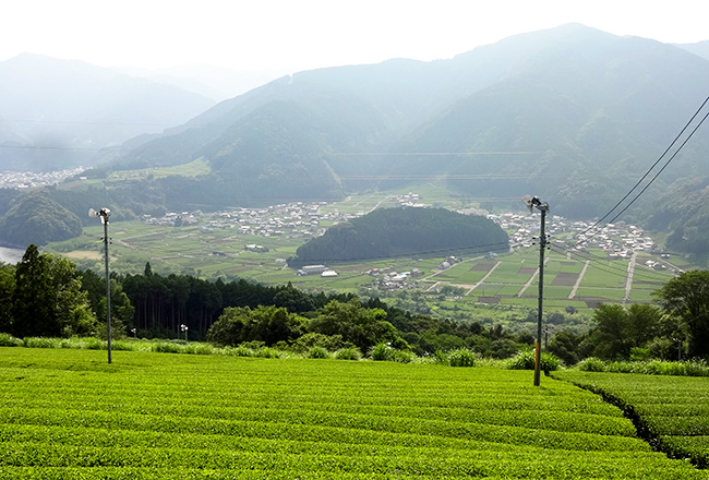 抜里（島田市）