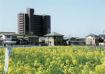 中郡地区 (なかごおりちく)