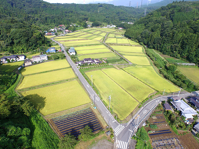 金太郎産湯の里湯船（小山町）