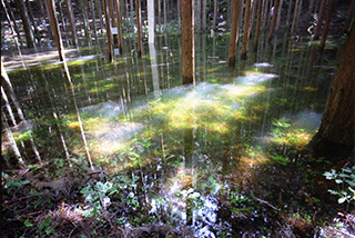 標高880ｍにある幻の池「池の平」