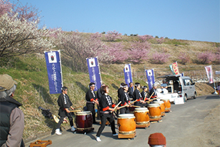 桜祭りを始めイベントが盛りだくさん