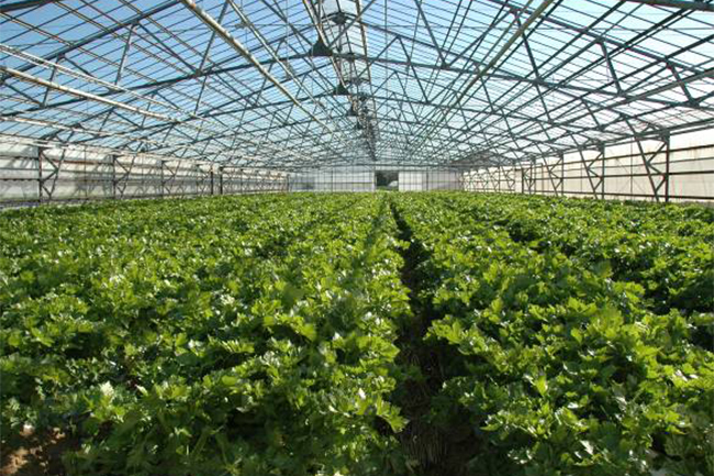 美竹林と極旨野菜の里（浜松市西区）