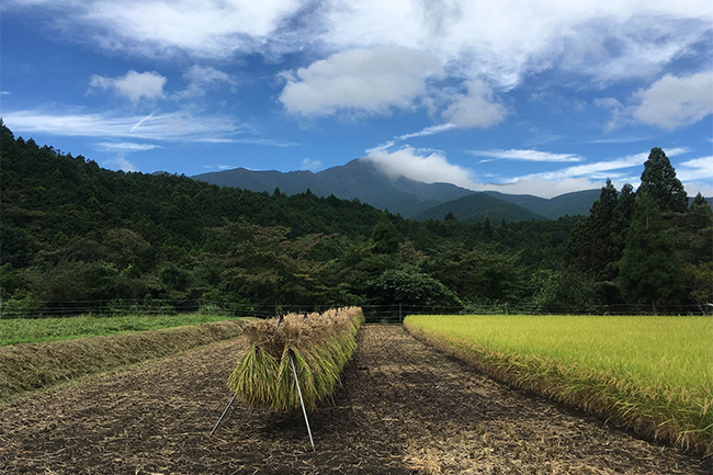 天子ヶ岳の里（てんしがたけのさと）