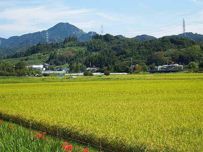 報徳・温泉・農業の里倉真（掛川市）