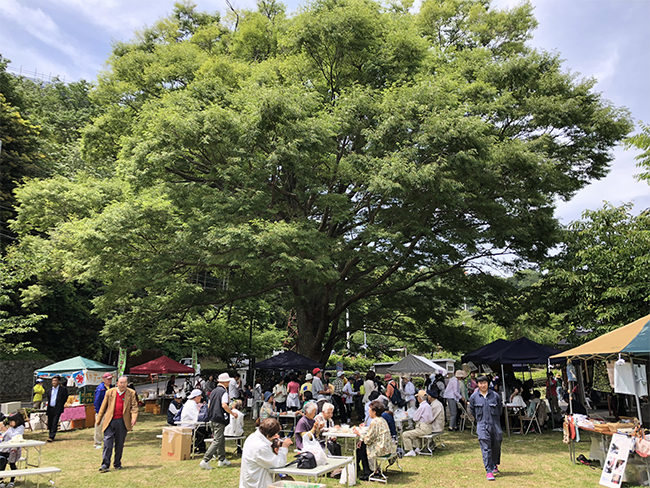 奈良本（賀茂郡東伊豆町）