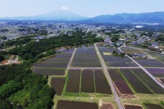 吉久保日吉の里（小山町）