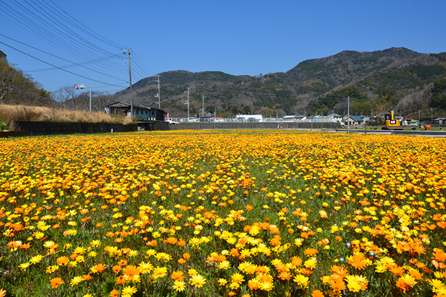 那賀地区（なかちく）