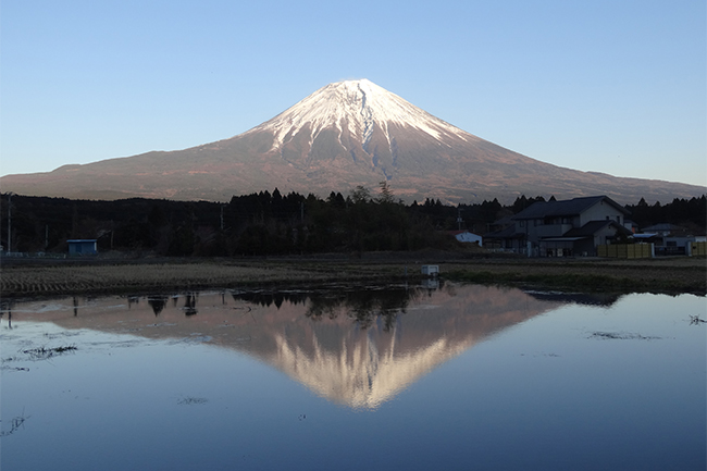 五感で癒される湧水の里いのかしら