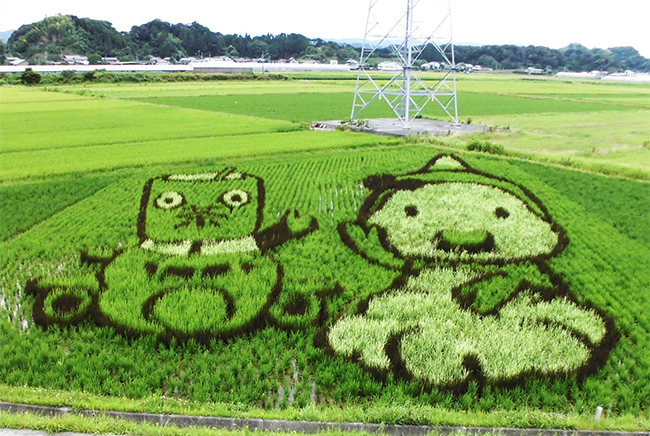 こがね色の里（菊川市）