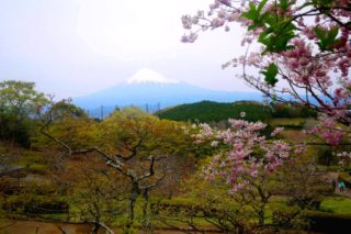 岩本山