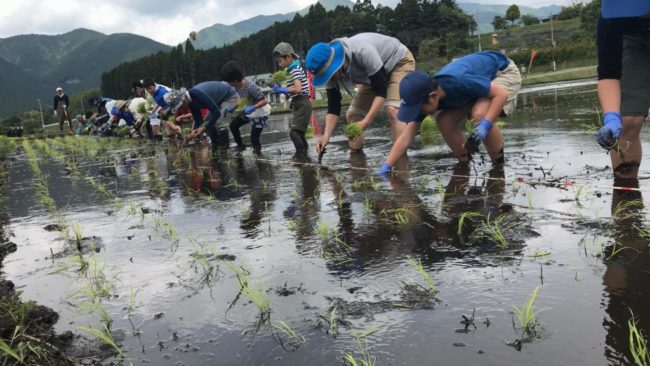 田植え・稲刈り農業体験