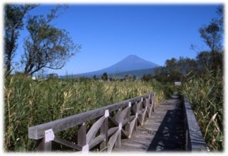 浮島ヶ原自然公園