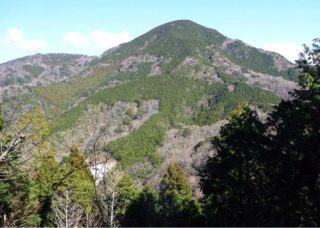 婆娑羅山