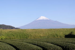 かりがね堤