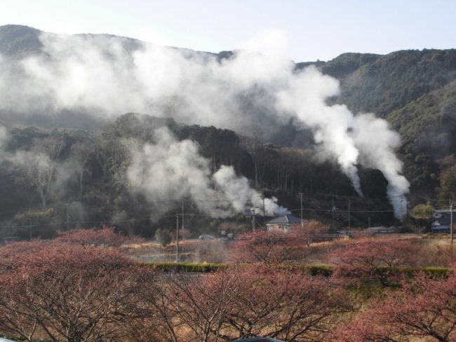 下賀茂温泉