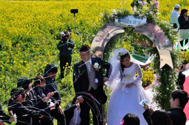 菜の花結婚式