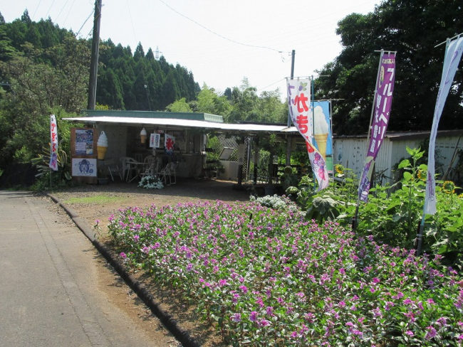 伊豆見高ブルーベリー観光農園