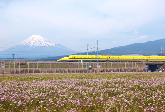 富士山とれんげ