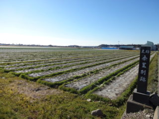 条里制遺跡（町文化財史跡）