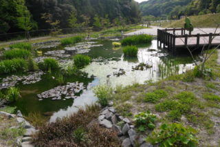 新野水のめぐみ公園