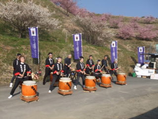 由比八千代桜祭り