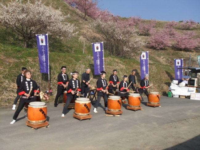 由比八千代桜祭り