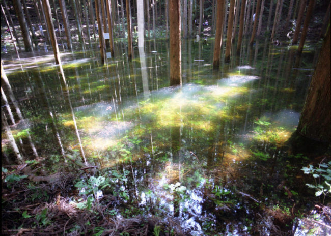 池の平