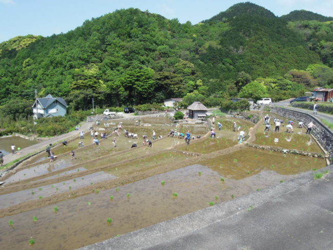 北山の棚田（日本棚田百選）