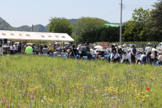 安久お花畑音楽会