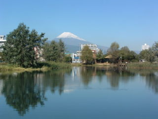 中郷温水池