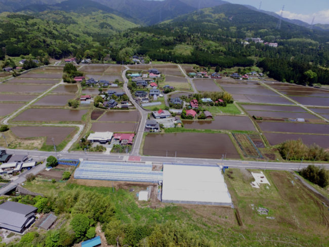 水田（小山町上野）