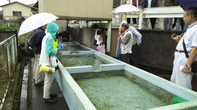 湧水や自噴井戸の宝庫