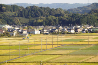 基盤整備された農地（水田３倍活用農法）