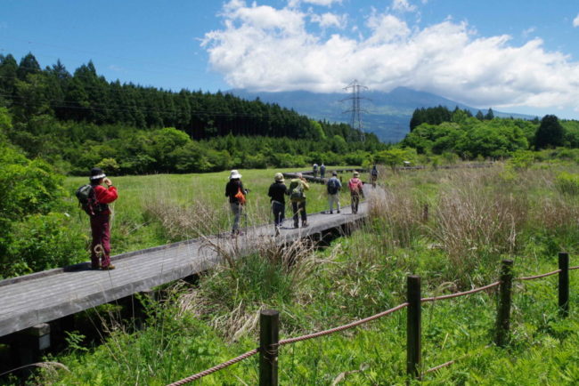 里山体験ツアー