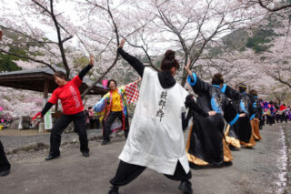 桜まつり