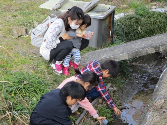 ホタルの幼虫放流