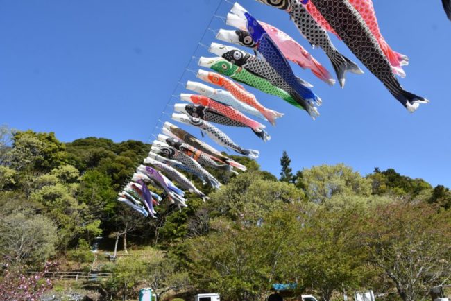 諸井里山の鯉のぼり