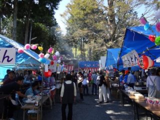 芝川日和「柚野の里まつり」