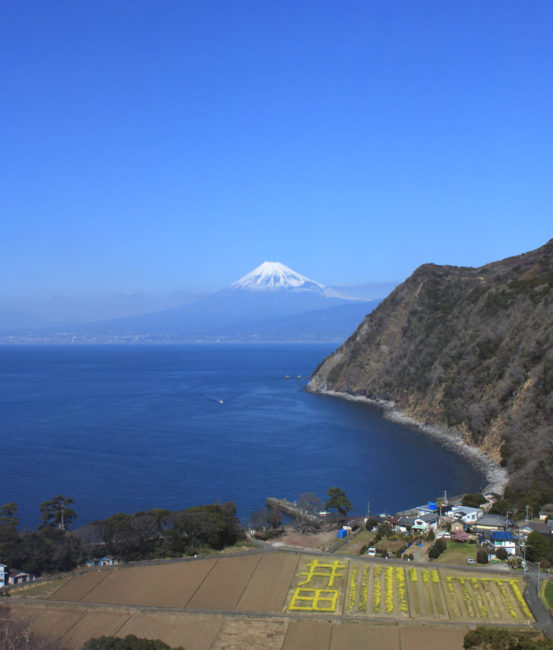 井田田園と海越しの富士