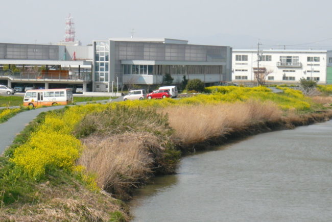 芳川