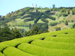 粟ヶ岳の茶文字