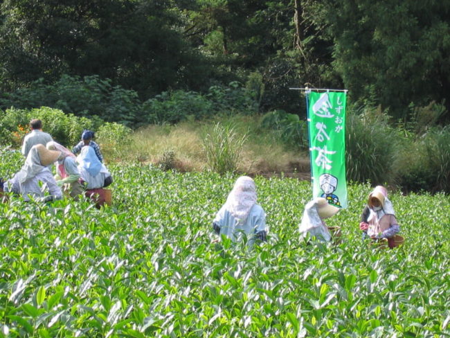 東海道の間の宿